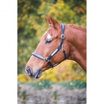 Velociti Gara Leather Headcollar 